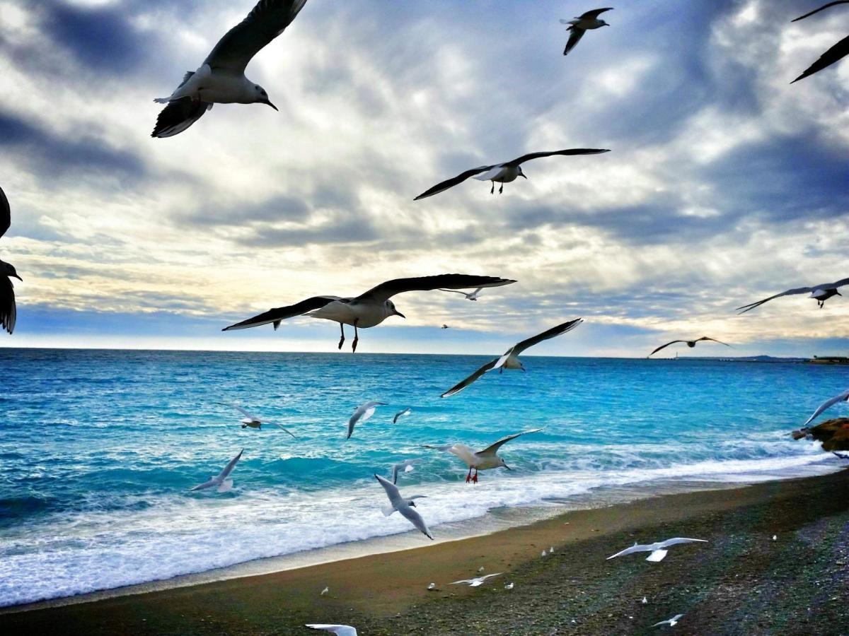 Le Nid Blanc Centre * Nizza